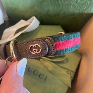 Gucci small dog collar